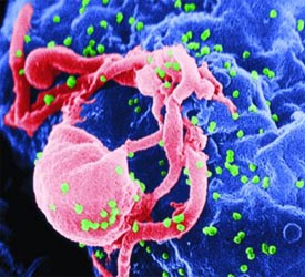 Nevada doctor and nurses plead innocent in hep C outbreak