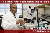Indian-origin researchers determine 3-D structure of ''beneficial'' virus
