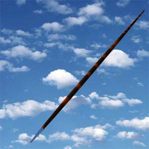 Teenager in stable condition after accidentally becoming impaled on a javelin