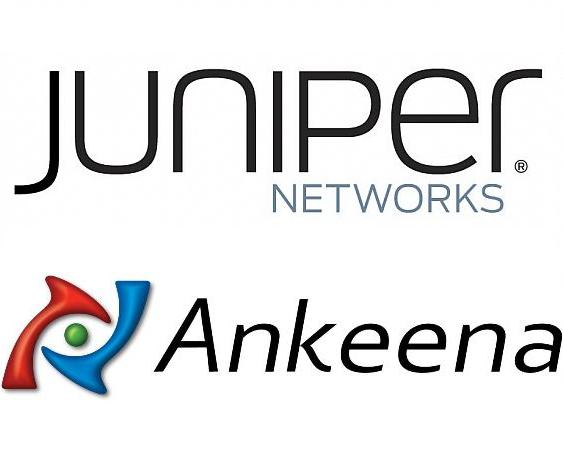 Juniper-Ankeena