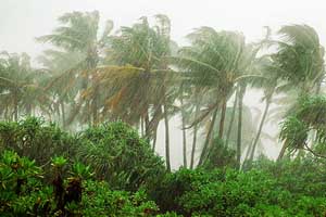Monsoon rains likely to hit southern coast May 26; ‘near normal’ season predicted