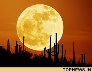 Firm plans to grow first flowers on Moon