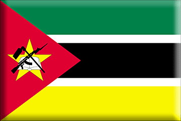 Mozambique government launches probe into prison cell deaths 