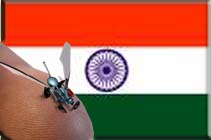 Nanotechnology is the future for Indian firms: Commerce Secretary