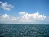 Natural Ocean