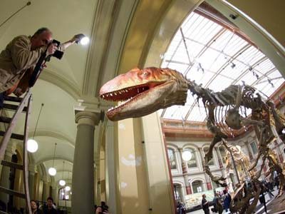 Berlin's Naturkundemuseum