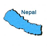 MPs hurt in clashes as Maoists cripple Kathmandu