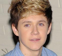 Horan passes driving test, buys luxury car