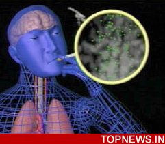 Nicotine may affect bodily processes more broadly than earlier thought