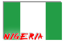 Nigeria to conduct investigation into terrorist suspect