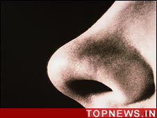 ''Artificial noses'' come closer to reality