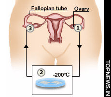 First ovary transplant mother tells of her ‘indescribable’ bliss post delivery