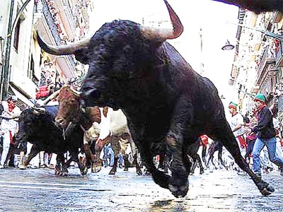 Pamplona Bull Run leaves several injured