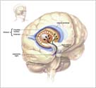 Early medication can slow progression of Parkinson disease