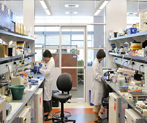 American Pharma Companies