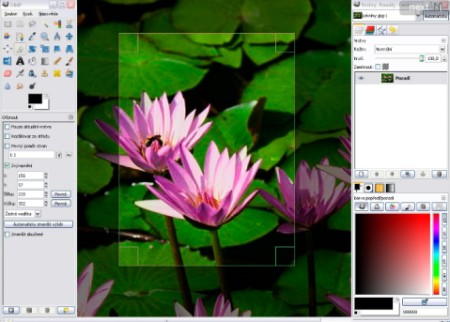 Online programs help boost photo editing