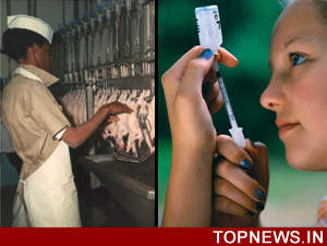 World War disease's bug may adversely affect poultry, diabetics