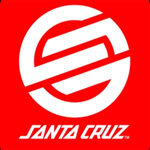 Weekend riot in Santa Cruz was instigated by an anarchist group, says Police