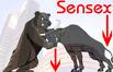 Sensex Extends Losses; IT Up 2%