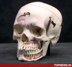 12,000-year-old shaman skeleton unearthed by Israeli archeologists