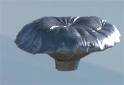 Colorado Sheriff confirms balloon boy incident was hoax