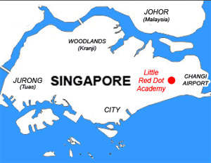 Singapore court jails Filipino on fraud charge