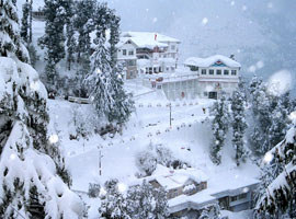 Search underway for bodies buried in snow in HimachalSearch underway for bodies buried in snow in Himachal