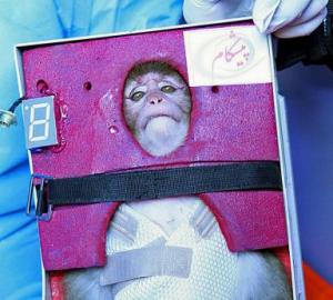 Was Iran’s space monkey mission fake? 