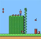 Super Mario Bros named ''Greatest Computer Game Ever''