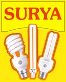 Surya Roshni mulls investment in south India  