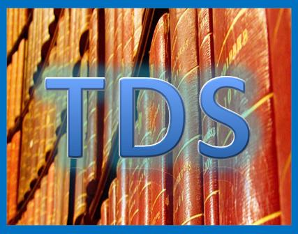 Private sector employees must file TDS till July 15, says I-T department