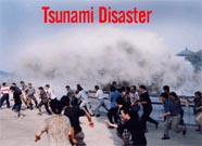 Tsunami survivors went through complex process of trauma and grief