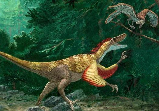 Velociraptor-birds