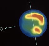 Molecules in Venus' Atmosphere