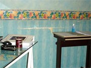 Scientists demystify ‘Wall Paper Peeling Mystery’