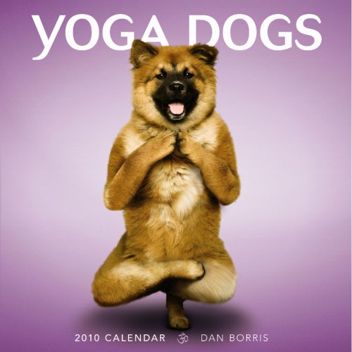 Coming soon in a market near you – Yoga Dogs Calendar!