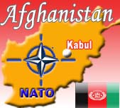 Afghan cabinet urges international presence "must be reviewed" 