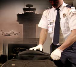 Airport Security