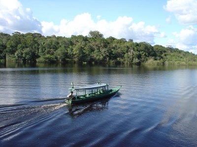 Scientists discover Amazon River is 11 million years old
