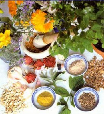 Ayurvedic and homeopathic treatment for employees in Punjab 