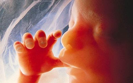 Your unborn baby can have hair color or eye color you want 