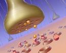 Beta-Blockers Increase Stroke, Death Risk  