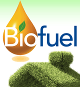 ‘Green’ adhesives could make biofuels more economically viable