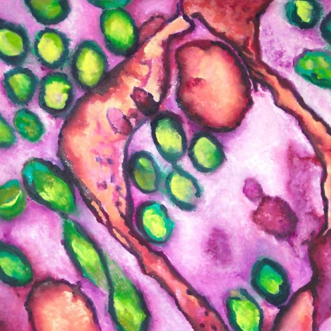 Why bird flu has not become a pandemic