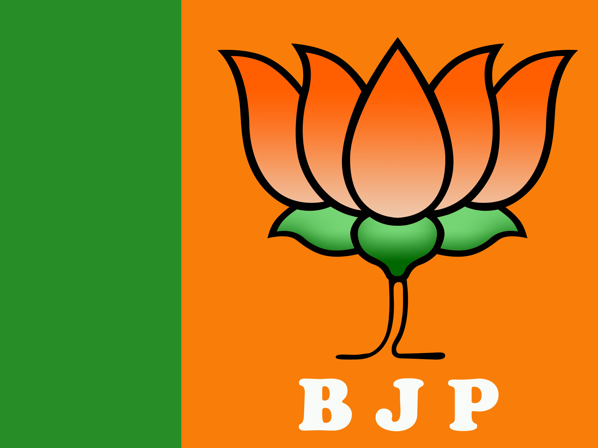 BJP wants JPC to focus on top government functionaries in 2G case