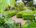 botanical-garden