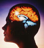  Here’s how our brains tell us only to look or see too