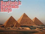 Cairo-Egypt