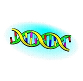 Gene linked to speech impairment in children identified