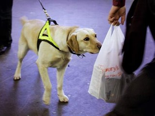 Soon, ‘human odourprint’ based technology to sniff out criminals